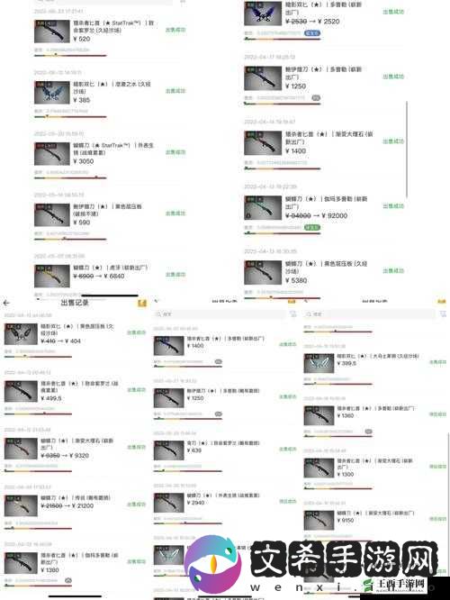 暴躁老姐 CSGO 心得:游戏中的热血与感悟