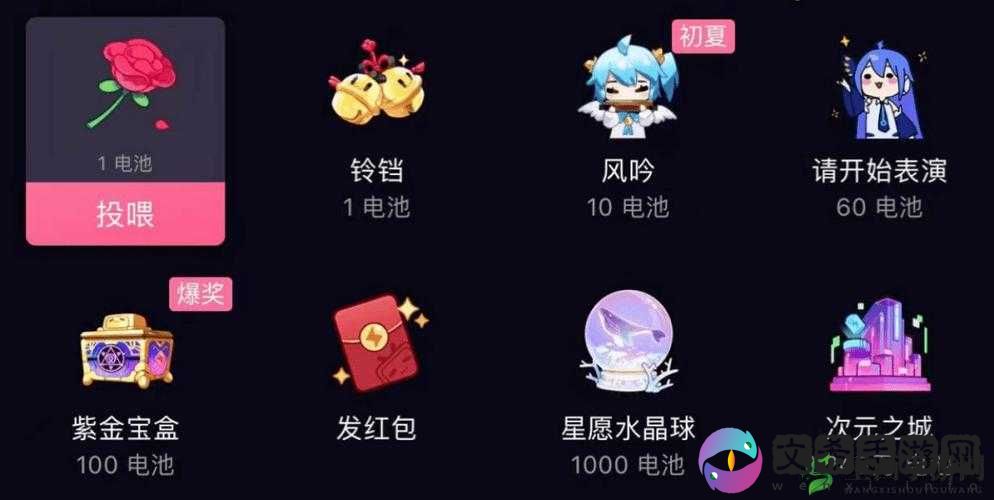 B站私人直播间：专属你的精彩世界