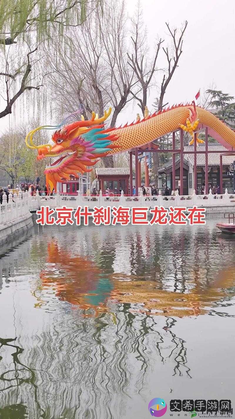 早上醒来发现巨龙还在：我该怎么办