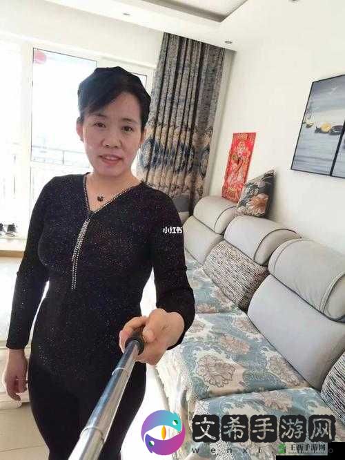 沈阳老阿姨最后的巅峰:背后的故事
