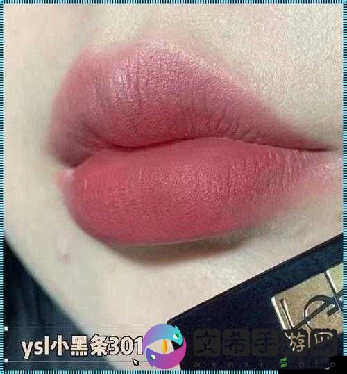 ysl 口红水蜜桃色号 6004-魅力新色