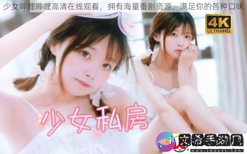 少女哔哩哔哩高清在线观看