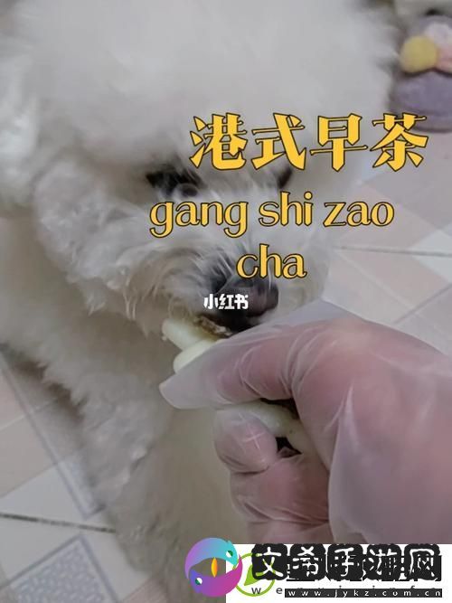 美国人与动物胶配方大全图片