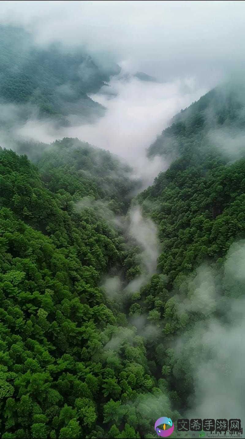 美丽的风景:大自然的奇妙之美