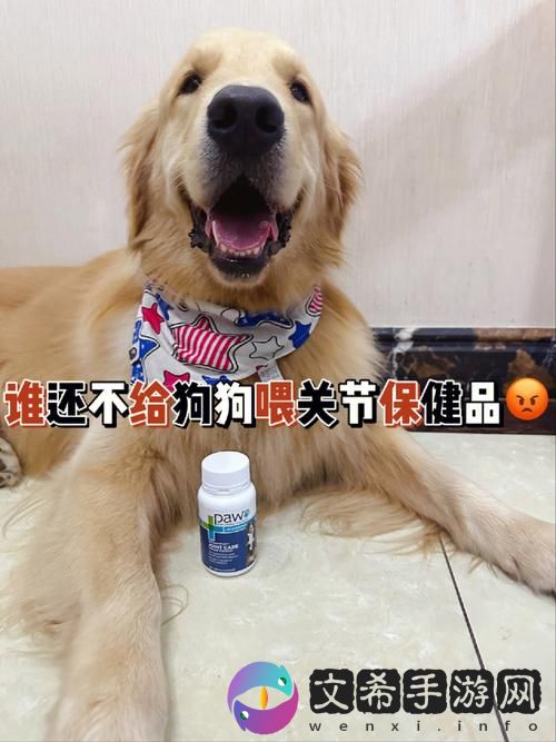 新揭秘“狗和人胶配方20分钟”的独特制作技巧