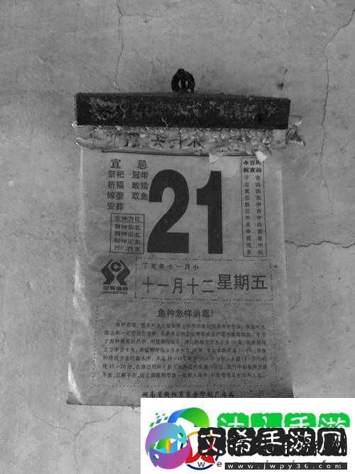 冒险岛2游戏内灰色赛车坐骑全面深度解析与详细图鉴展示