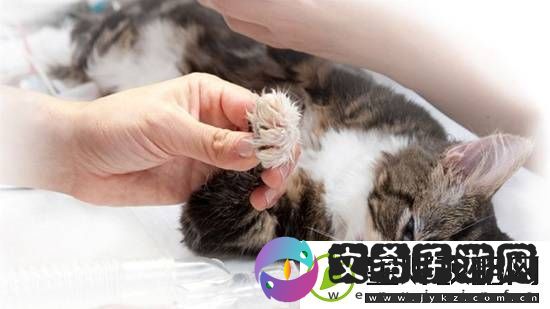 你怎么看