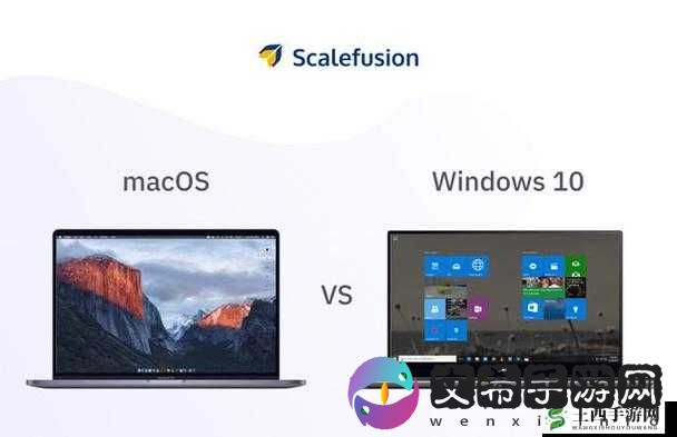 美国和欧洲 Windows：系统差异与应用对比
