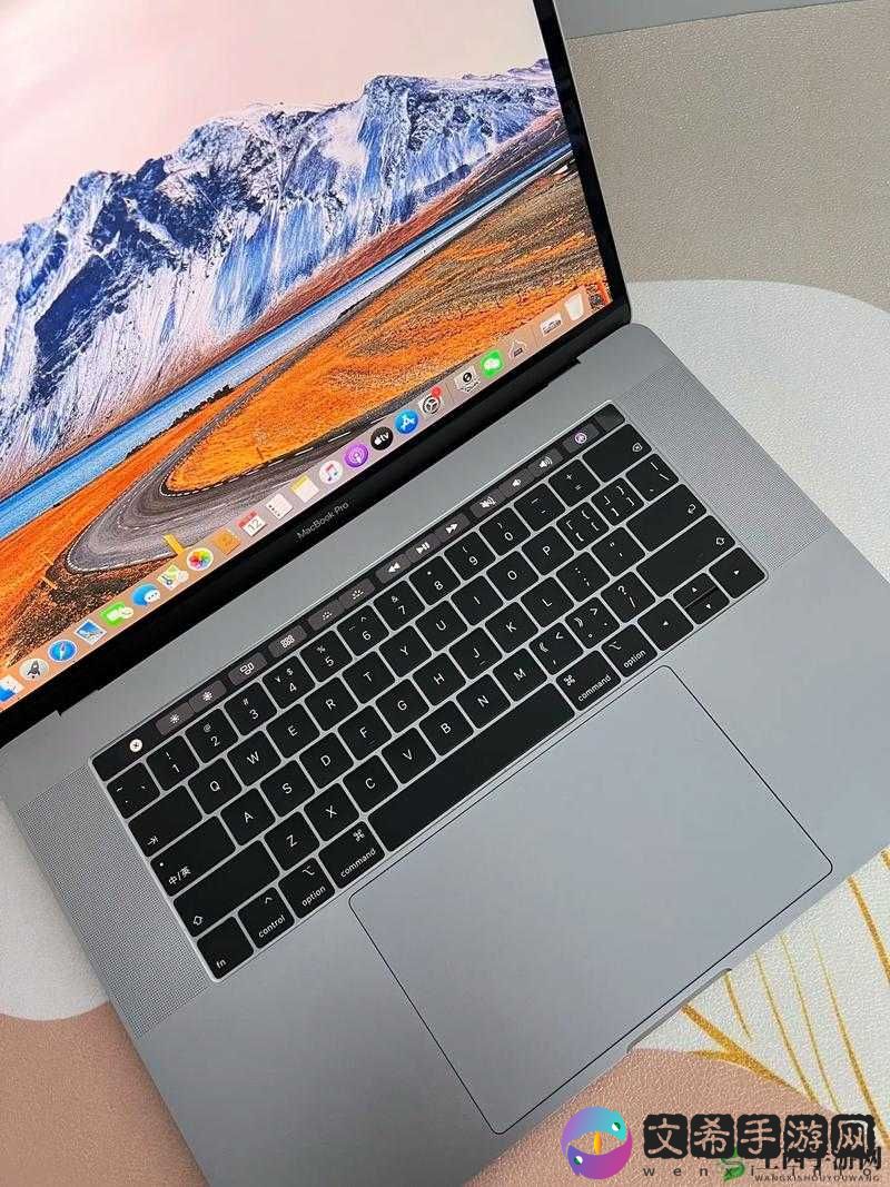 18 岁 MacBook-Pro-45 岁的故事