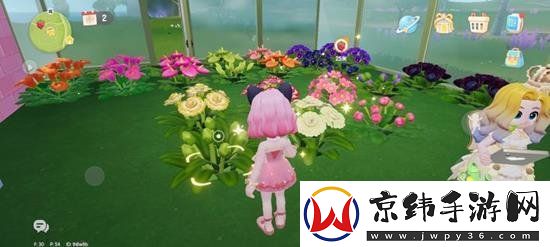 心动小镇怎么种花