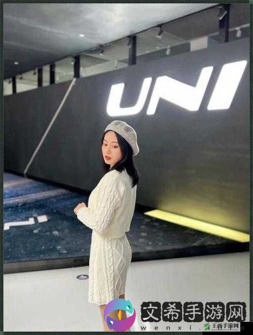 karasuni 对战多人使用,不用担心限速