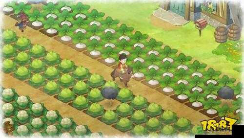 哆啦A梦牧场物语独角甲虫的神秘栖息地与捕捉攻略：探寻最佳出现位置揭秘