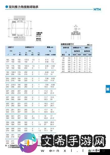 日本 ntn32219 尺寸:详细参数介绍