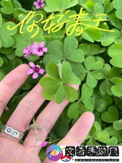 成品人与精品人在四叶草区别上的探讨