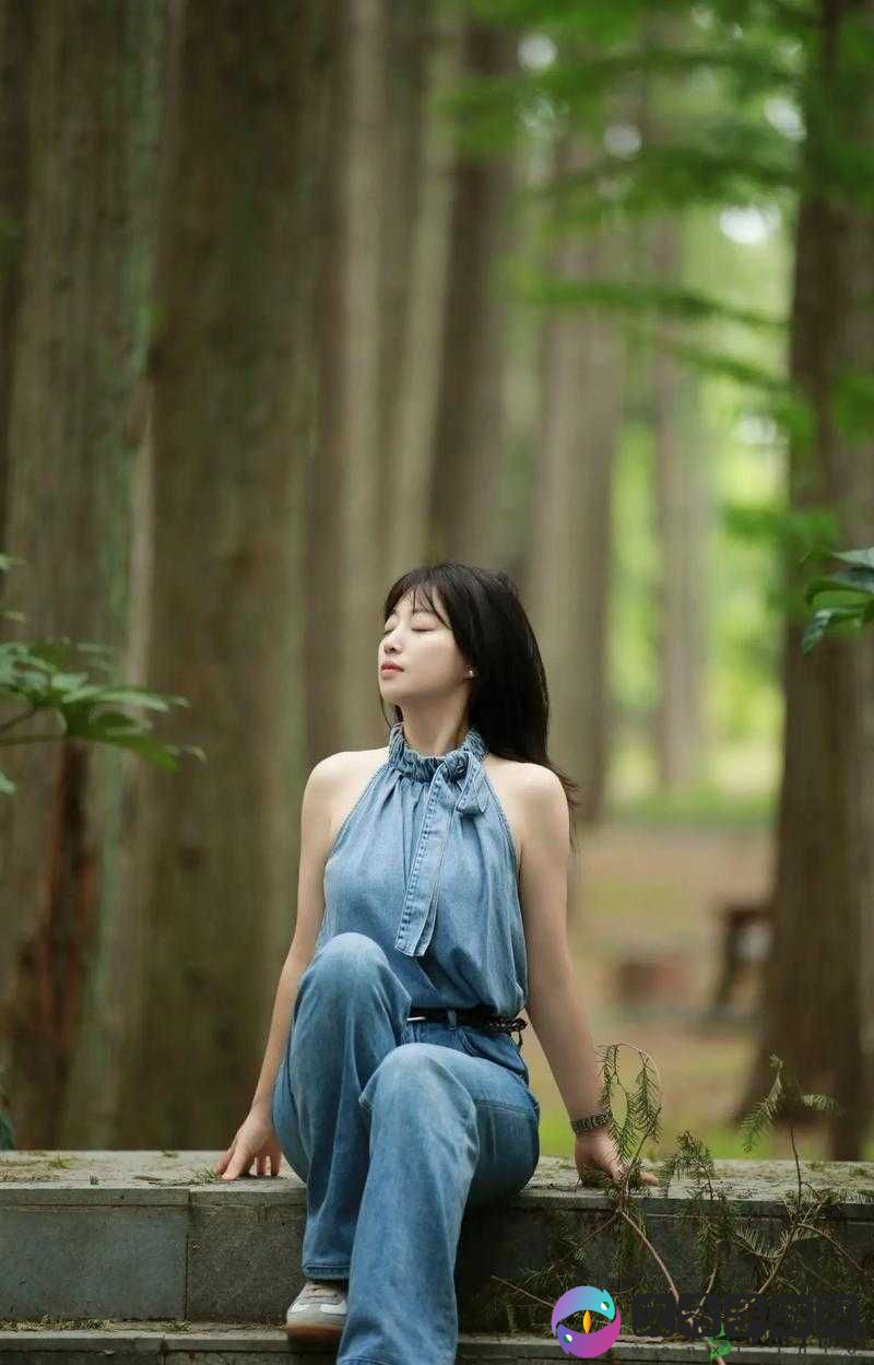 抖音阳光优雅漫步旅店的草地是哪首歌引发全网热议