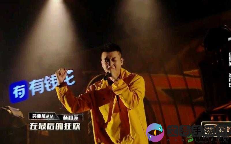 杨和苏最后的狂欢在第几集:揭秘背后的故事
