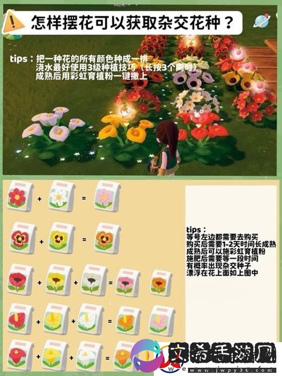 心动小镇种田进阶教学：快来成为小镇农学家