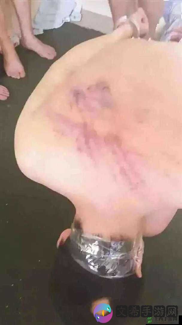缅北恐怖视频 20 个原视频：真实震撼的惊悚呈现