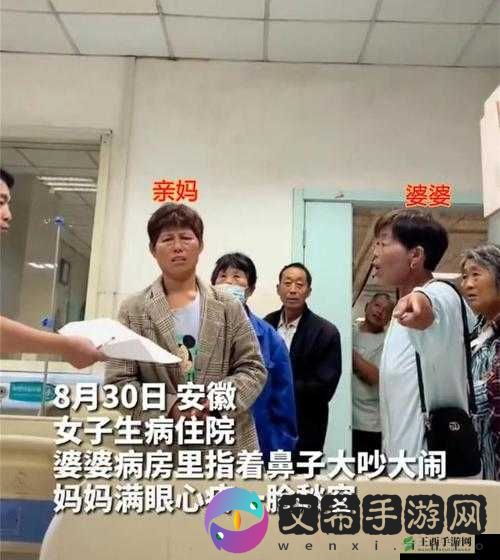 安徽妇与人激烈争吵：事件始末