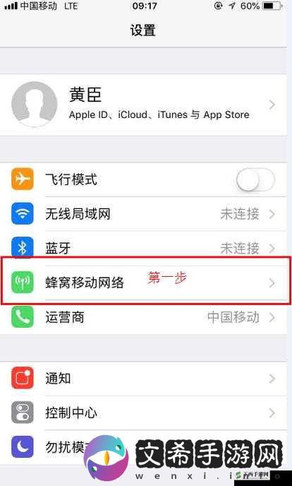 欧洲 VODAFONE.APN 设置详细教程
