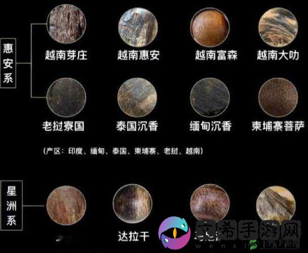 沉香一二线产区：探秘与解析