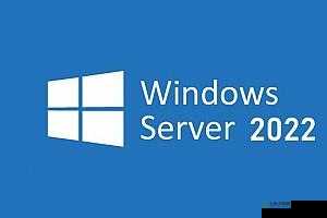 日本-Windows-Server:操作系统的先驱者