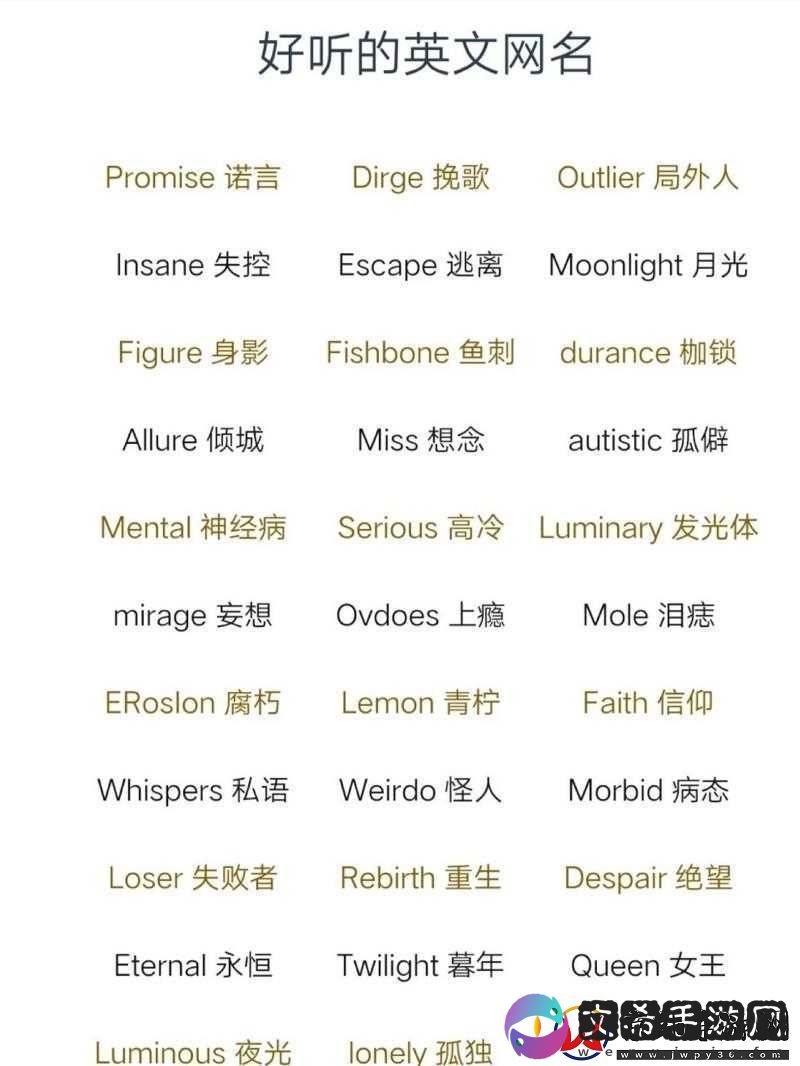 2023-欧美个性情侣名精选：独特魅力情侣名大赏